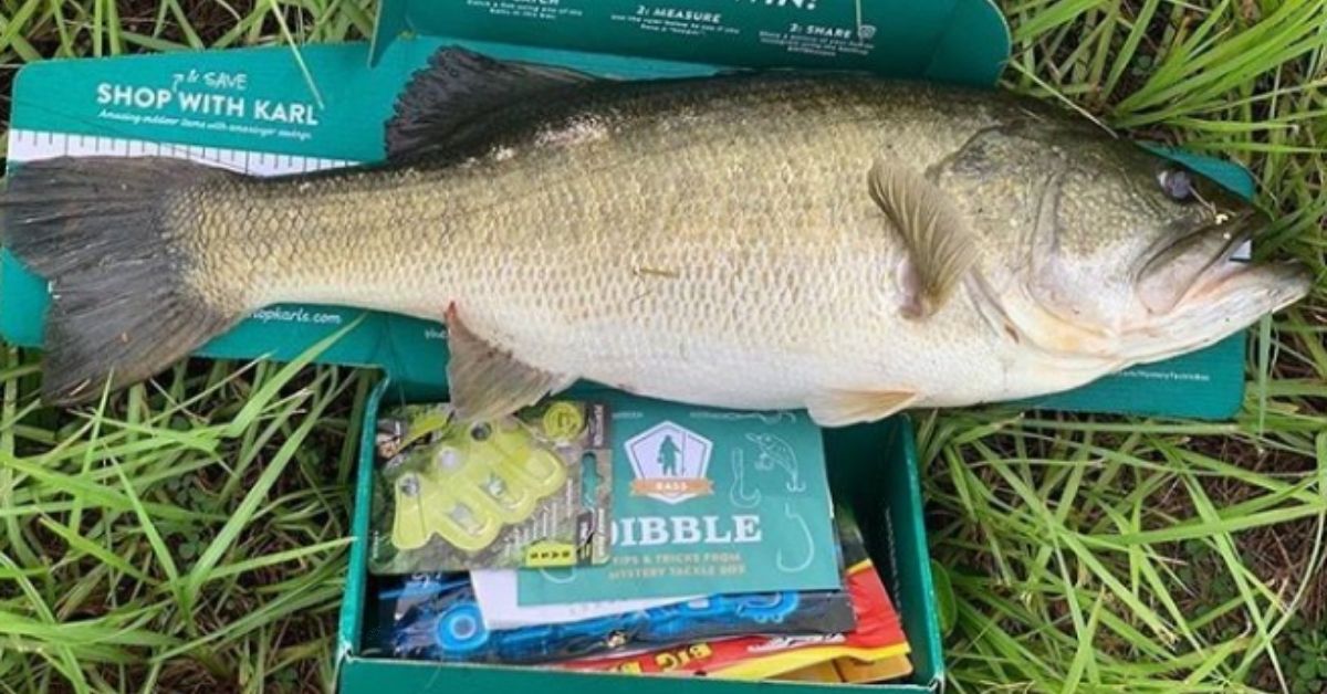 Dock Fishing Feature Image.jpg
