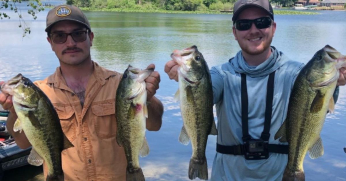 summer bass fishing tips bassin bill.jpg
